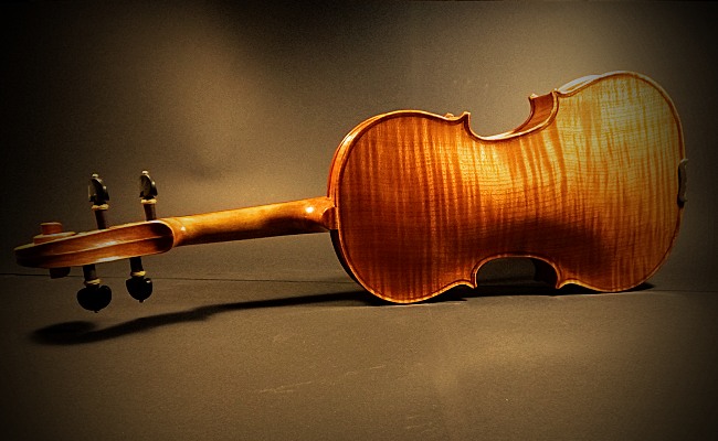 un violín Boutique de violines Paloma