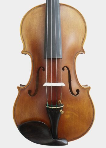 Violín de estudio avanzado Crescendo Paloma Valeva