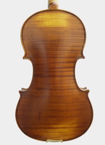 Violín de estudio avanzado Crescendo Paloma Valeva