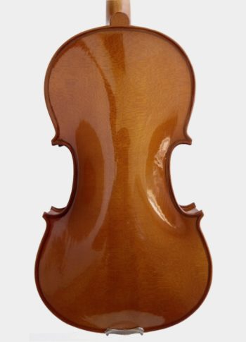Violín de estudio Pzzicato