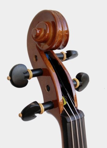 violin pizzicato