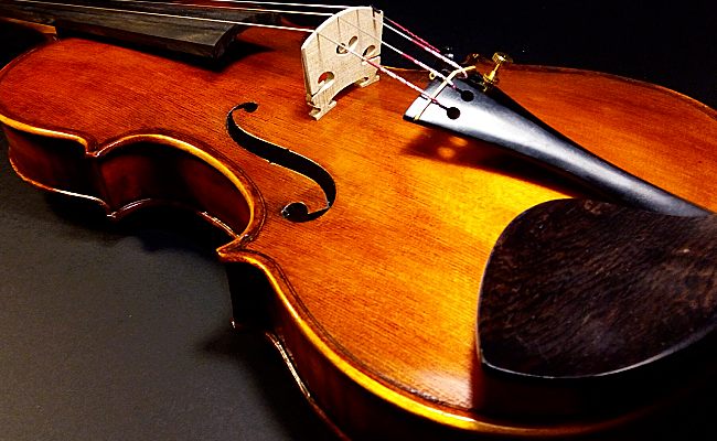 Le violon 4/4 ou violon entier  Atelier de lutherie Paloma Valeva