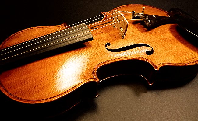 un violín Boutique de violines Paloma